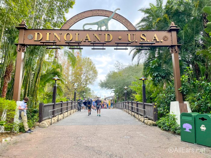 disney world tours animal kingdom