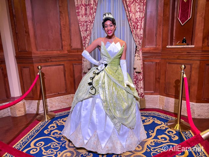 New Princess Tiana nuiMO Now Available Online and in Disney World! -  AllEars.Net