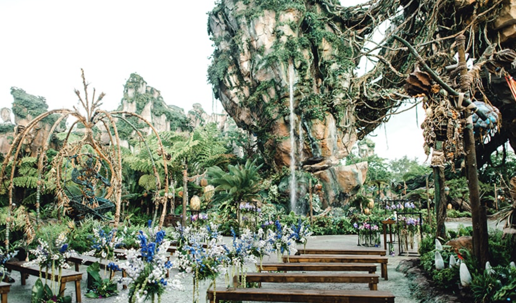 This AvatarInspired Wedding Puts The Focus On Nature And Sustainability #31 This AvatarInspired Wedding Puts The Focus On Nature And Sustainability