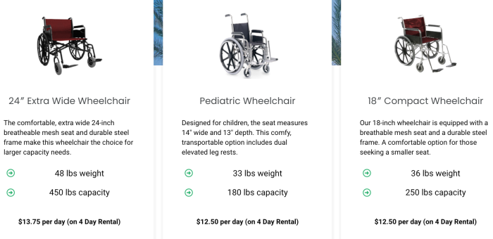 Everything You Need to Know About Wheelchair Rentals in Disney World -  AllEars.Net