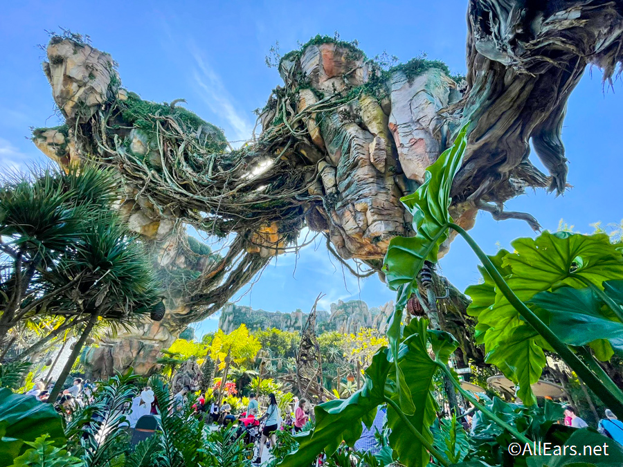 Disney's Animal Kingdom Overview Disney's Animal Kingdom Overview