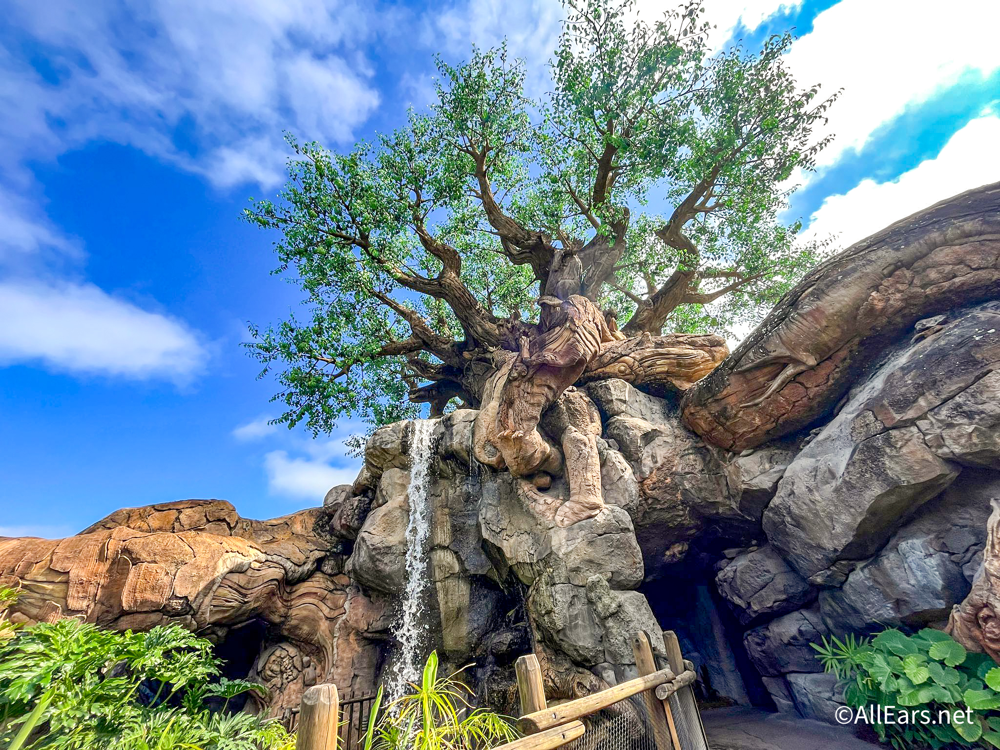 Animal kingdom