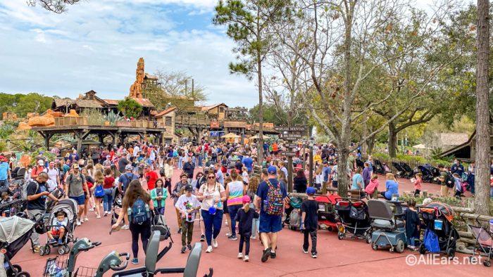 best time to visit disney world parks