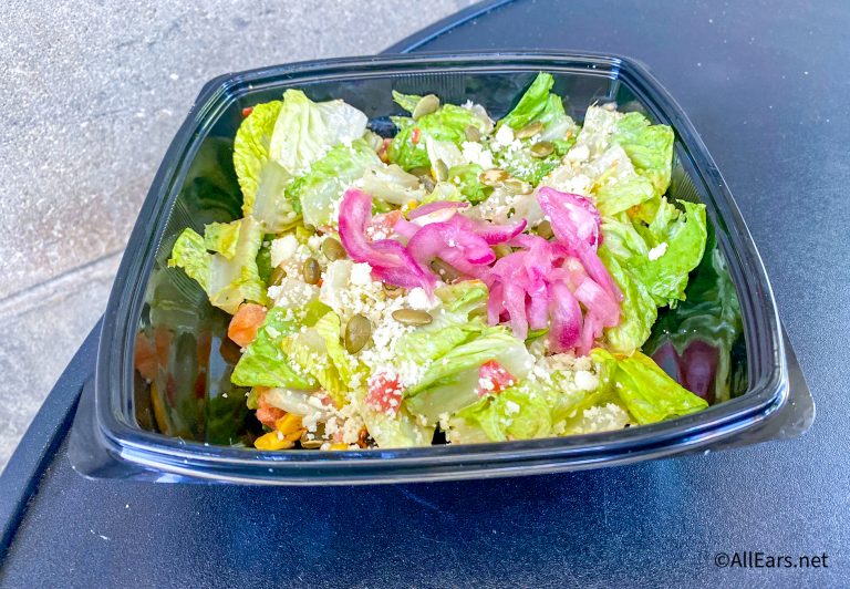 FIRST LOOK at the New Menu Items at Backlot Express in Disney World ...