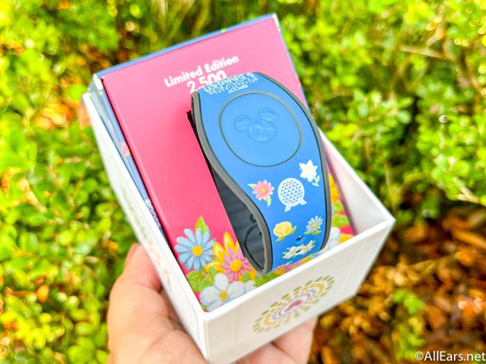WDW Tip of The Week: Keeping Your MagicBand 2 Secure - WDW Radio