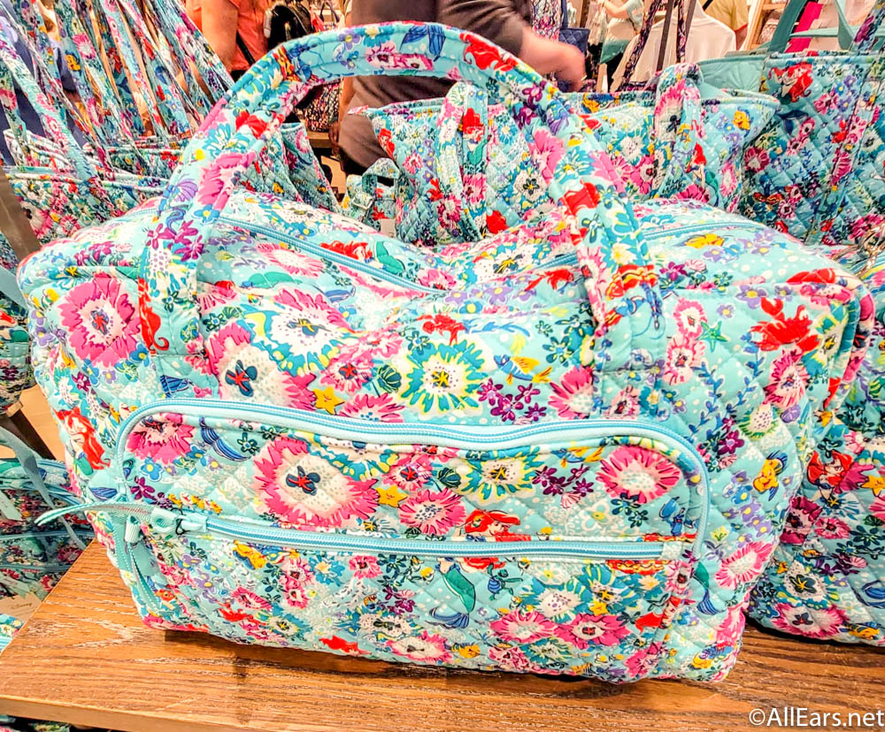 Favorite Purse to bring to Disney | Hipster bag, Vera bradley disney, Bags