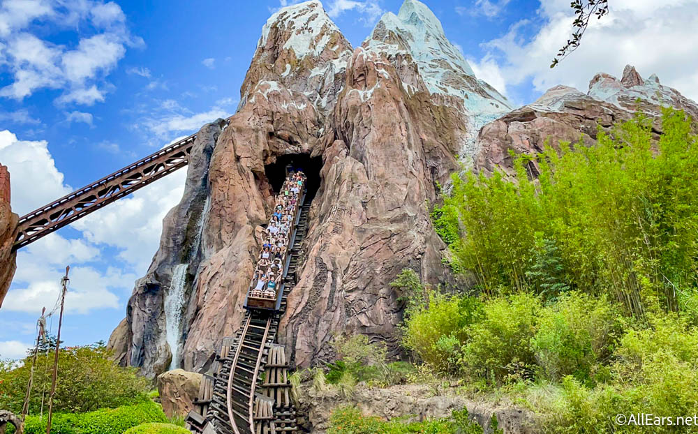 4k] Expedition Everest: Terrifying Yeti Roller Coaster - Disney's Animal  Kingdom park. WDW Florida 