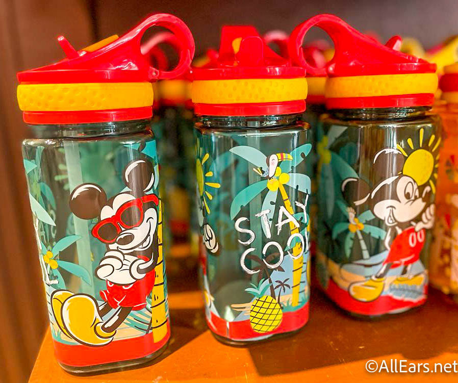 New Minnie Water Bottle is the Perfect Way to Stay Hydrated! 