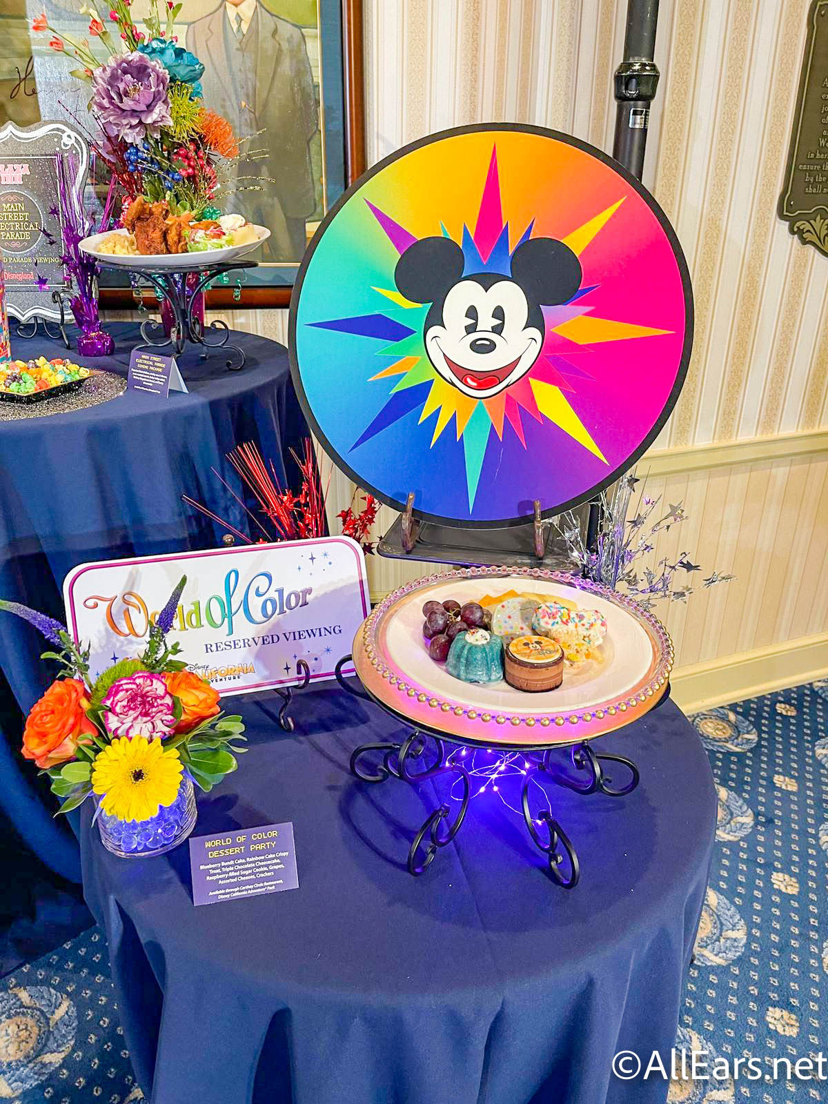 dlr 2022 disneyland resort return of nighttime spectaculars media event  food snacks world of color dining package-5 - AllEars.Net