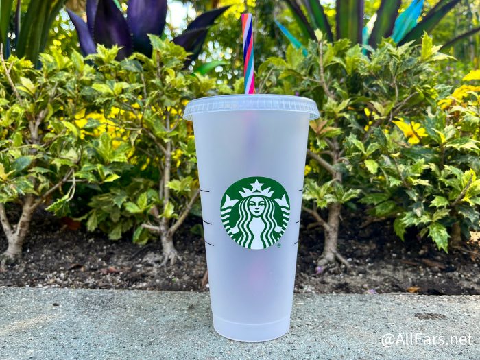 Starbucks Designer Color Changing Cup – The Rue Life