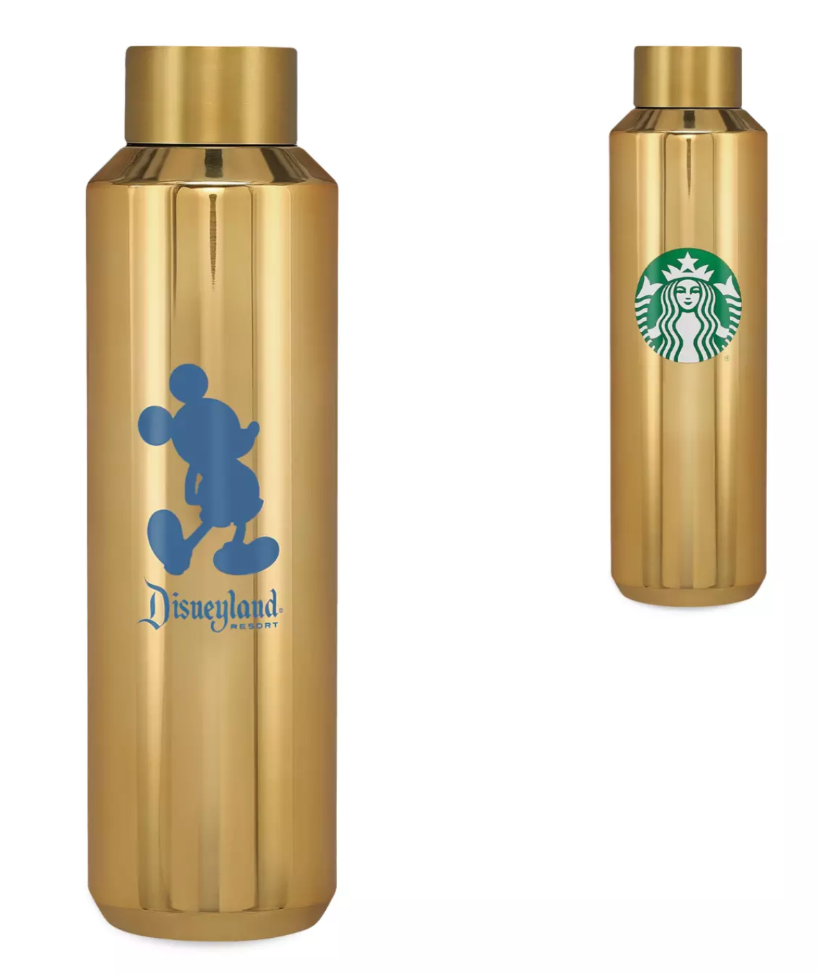 Walt Disney World Starbucks® Water Bottle
