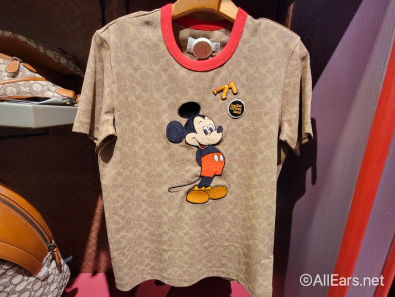 Disney World's Newest T-Shirt Costs More Than a Park Ticket - AllEars.Net