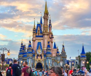 animal kingdom crowds News & Updates animal kingdom crowds News & Updates