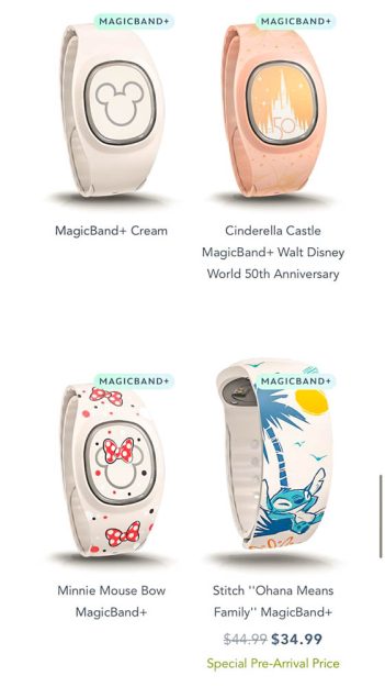 My disney experience magic bands