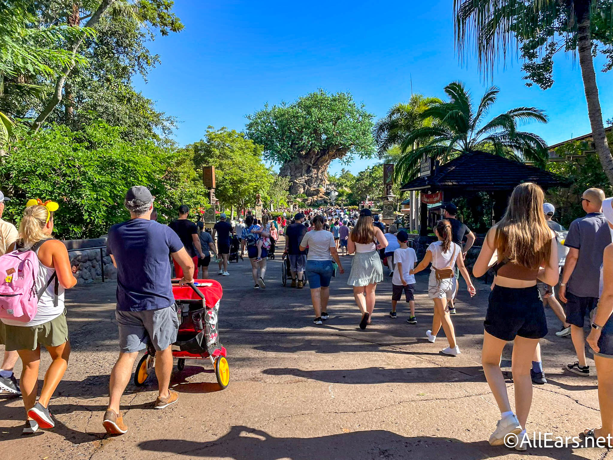 Disney World's 4th of July Crowds SURPRISED Us Disney World's 4th of July Crowds SURPRISED Us
