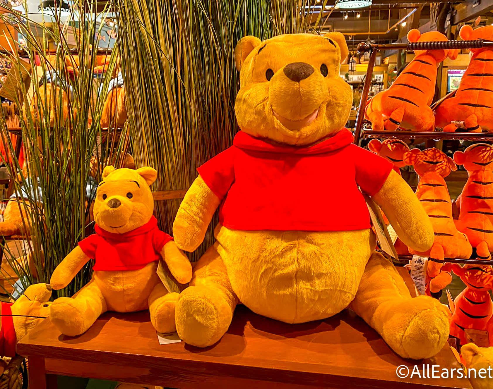 Find Out What's DIFFERENT About This Winnie the Pooh Collection in