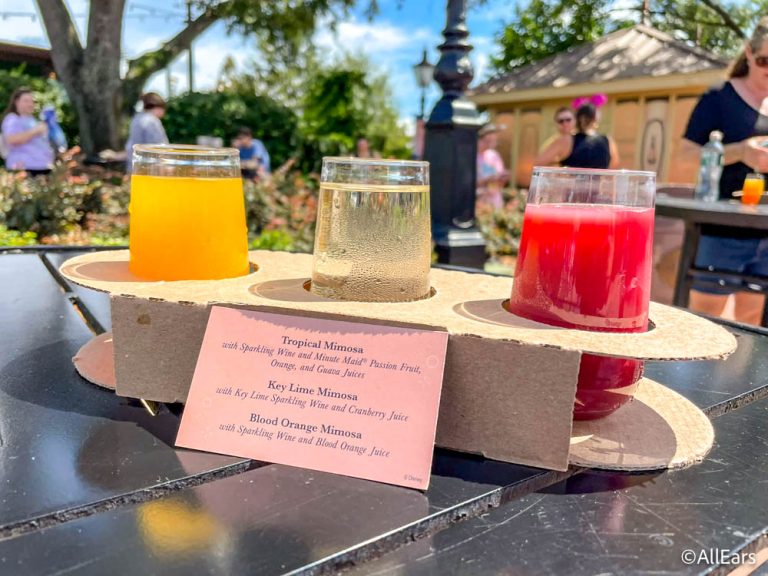 How to Plan a Disney World Trip for Under 3,000