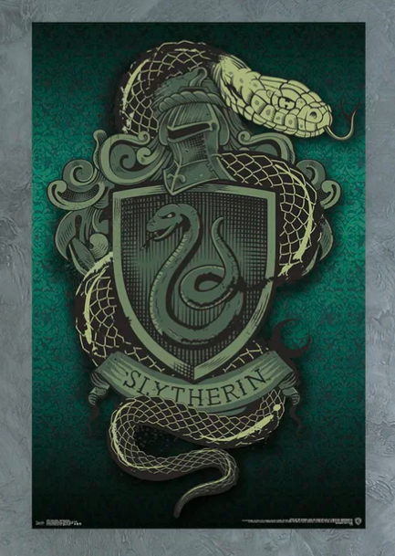 Harry Potter: Slytherin Glass Magnet Set (Set of 6) - Book Summary