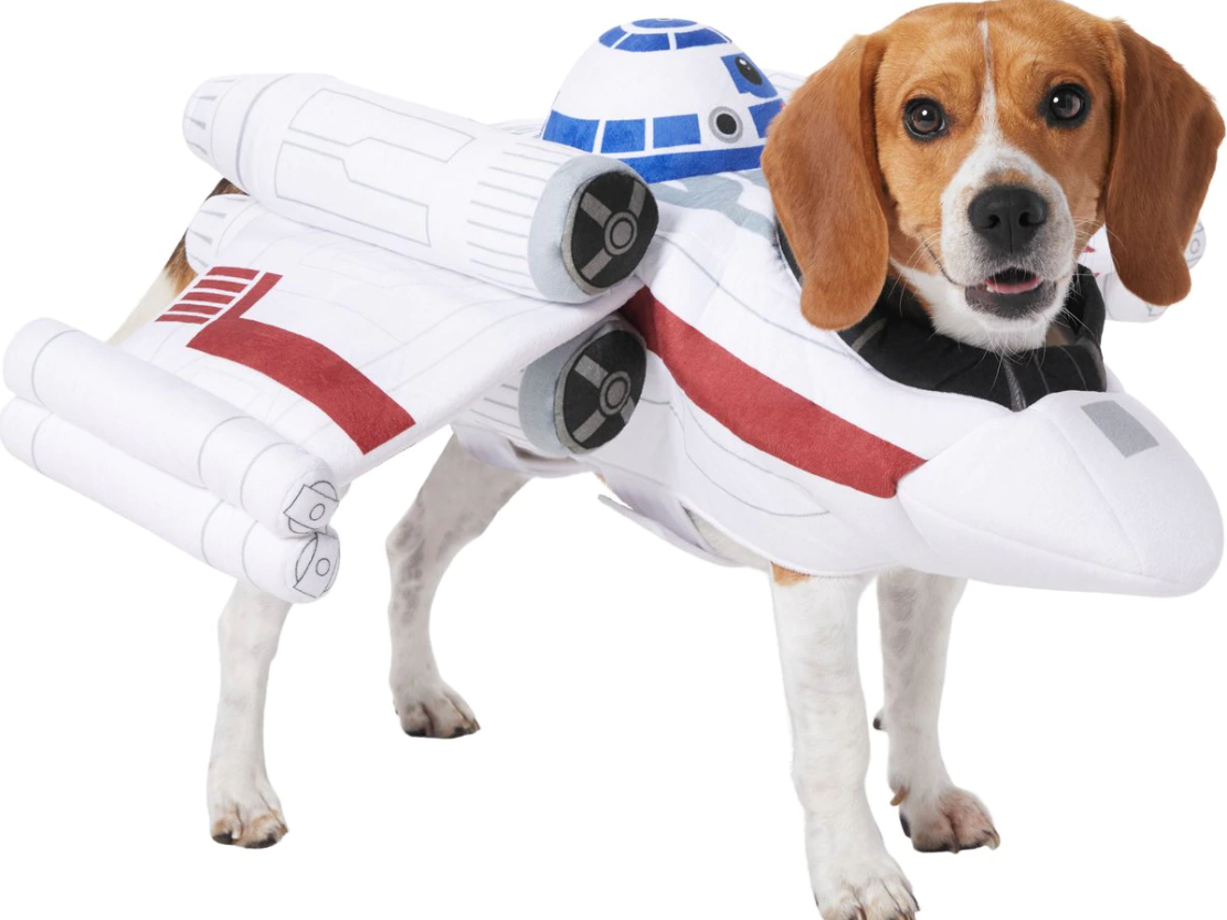 Disney's New Dog Halloween Costumes Ranked