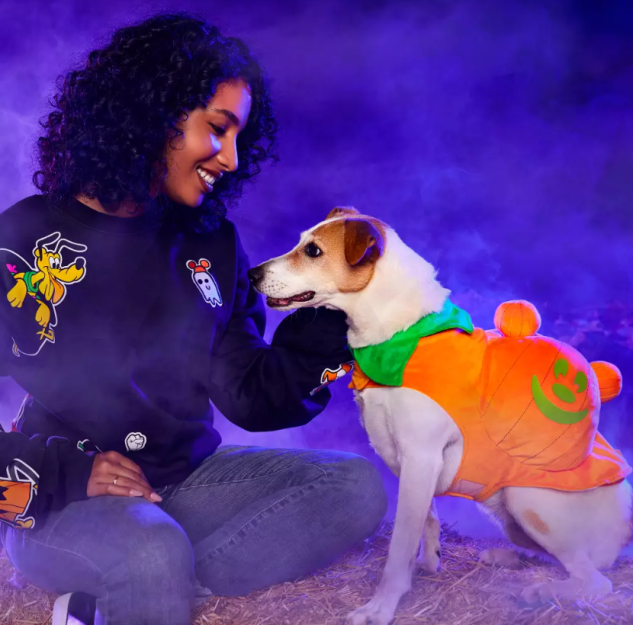 12 of the Most Ridiculous and Amazing Disney Pet Costumes! 