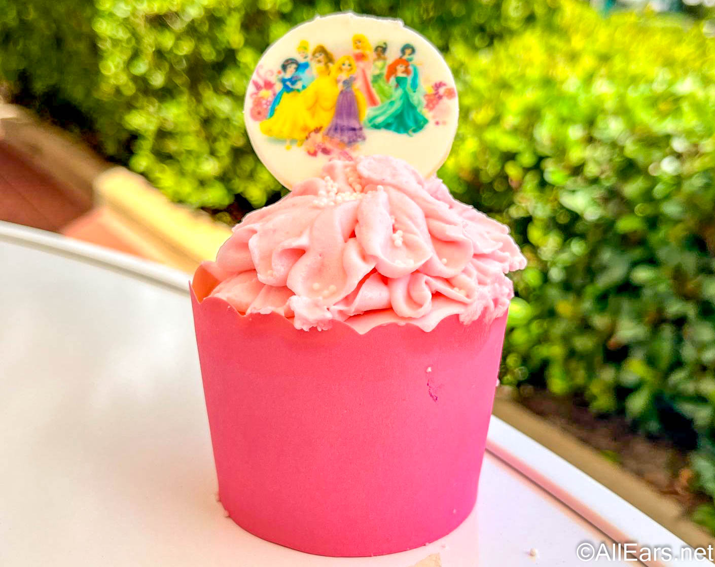 Perfectly Princess Cupcake