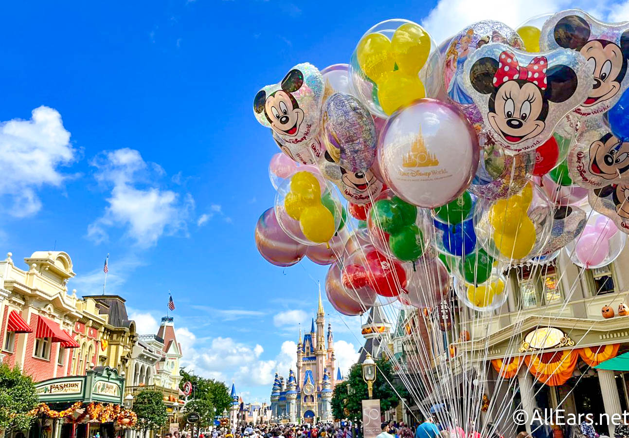 Can You Ride Rides At Disney World While Pregnant? 