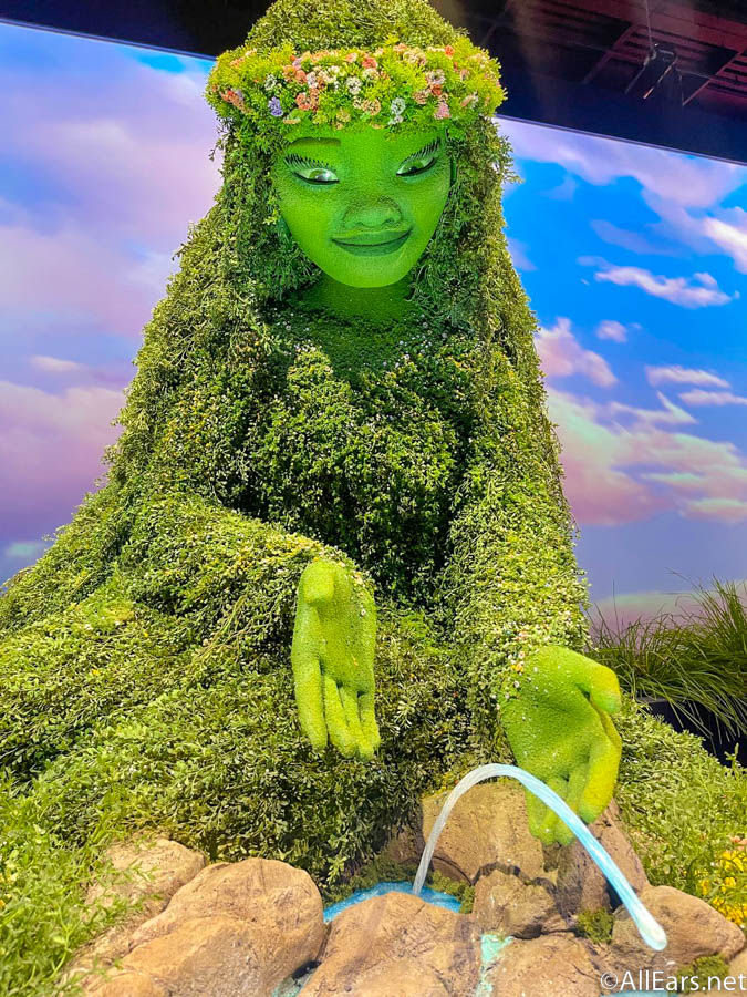 Te fiti 2025