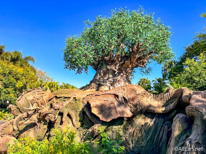 Rumor Update: Animal Kingdom is getting WHAT?!?