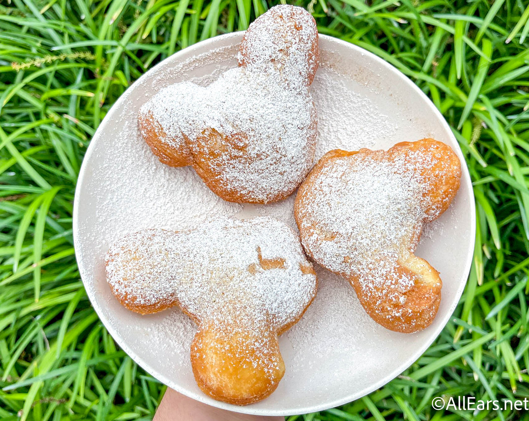 The BEST Food In Disney World for 2023 The BEST Food In Disney World for 2023