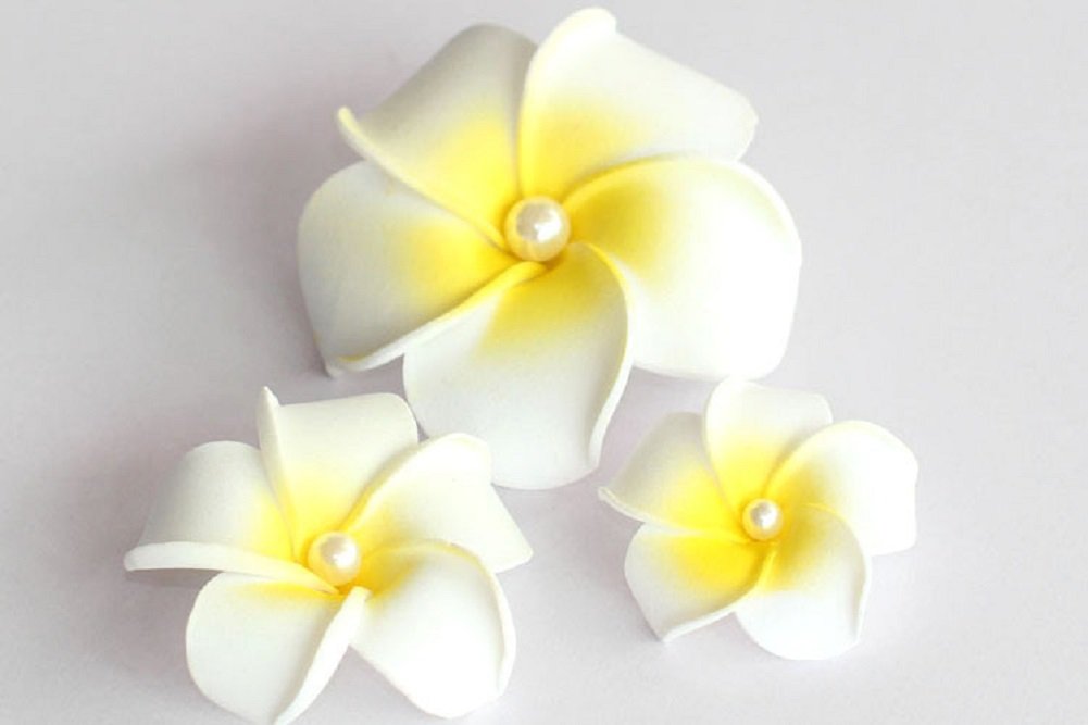 DreamLily Women's Fashion 3 Pcs Hawaiian White Plumeria Flower Foam Hair Clip Balaclavas for Beach (1#)