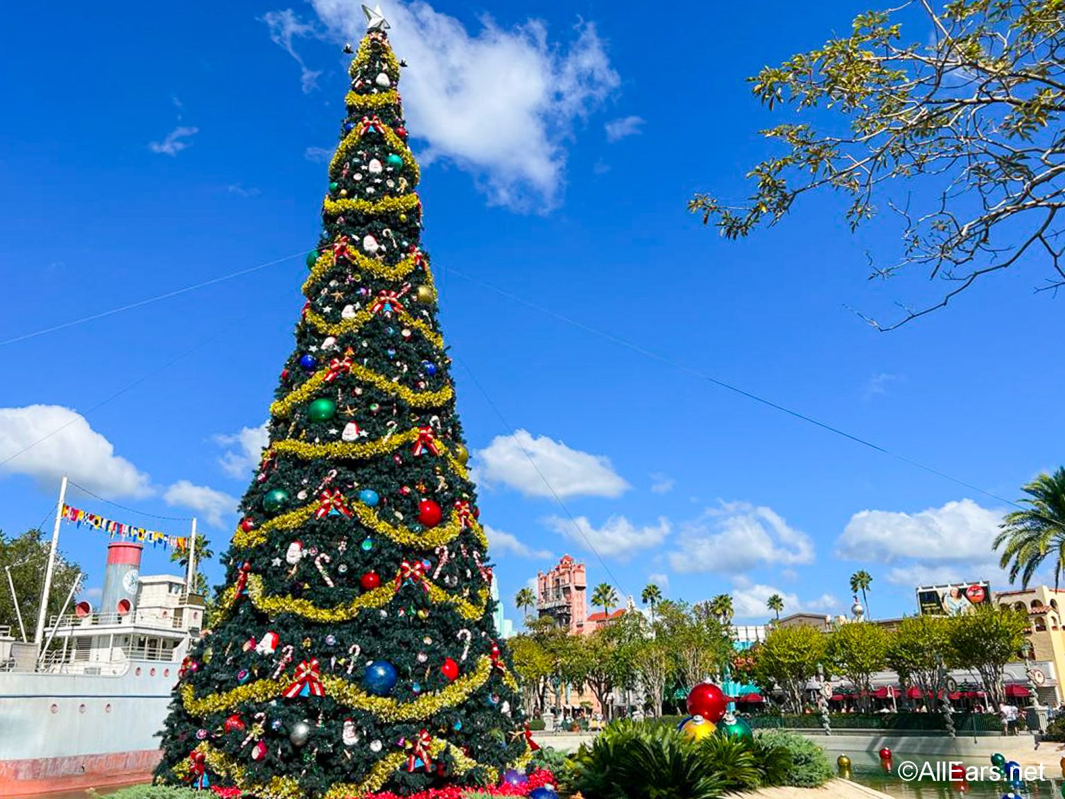 The Christmas Tree Has Arrived In Disney s Hollywood Studios AllEars Net the-christmas-tree-has-arrived-in-disney-s-hollywood-studios-allears-net