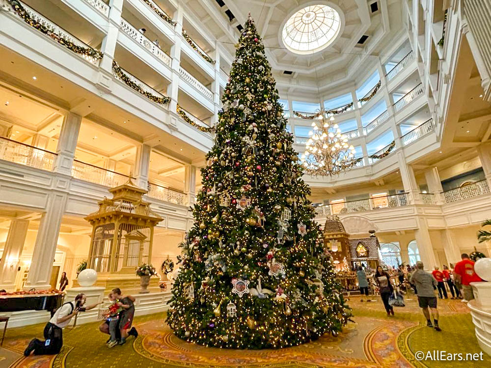 One of the BIGGEST Christmas Trees Has Arrived in Disney World! -  AllEars.Net