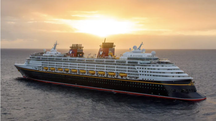 disney wonder cruise excursions