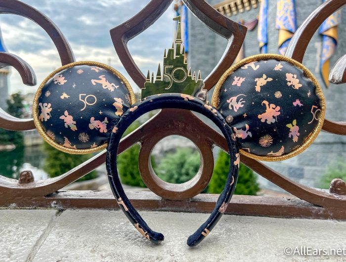 my first disney trip ears