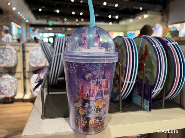 https://allears.net/wp-content/uploads/2023/03/2023-wdw-disney-springs-world-of-disney-joey-chou-magic-kingdom-cup-700x525.jpg