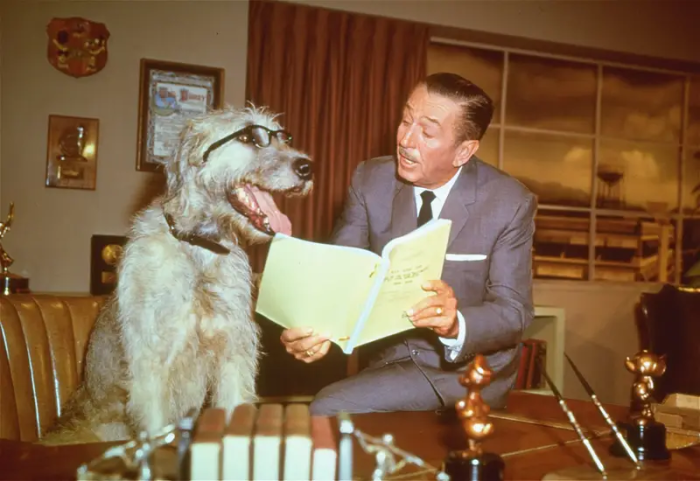 Walt Disney and Dog