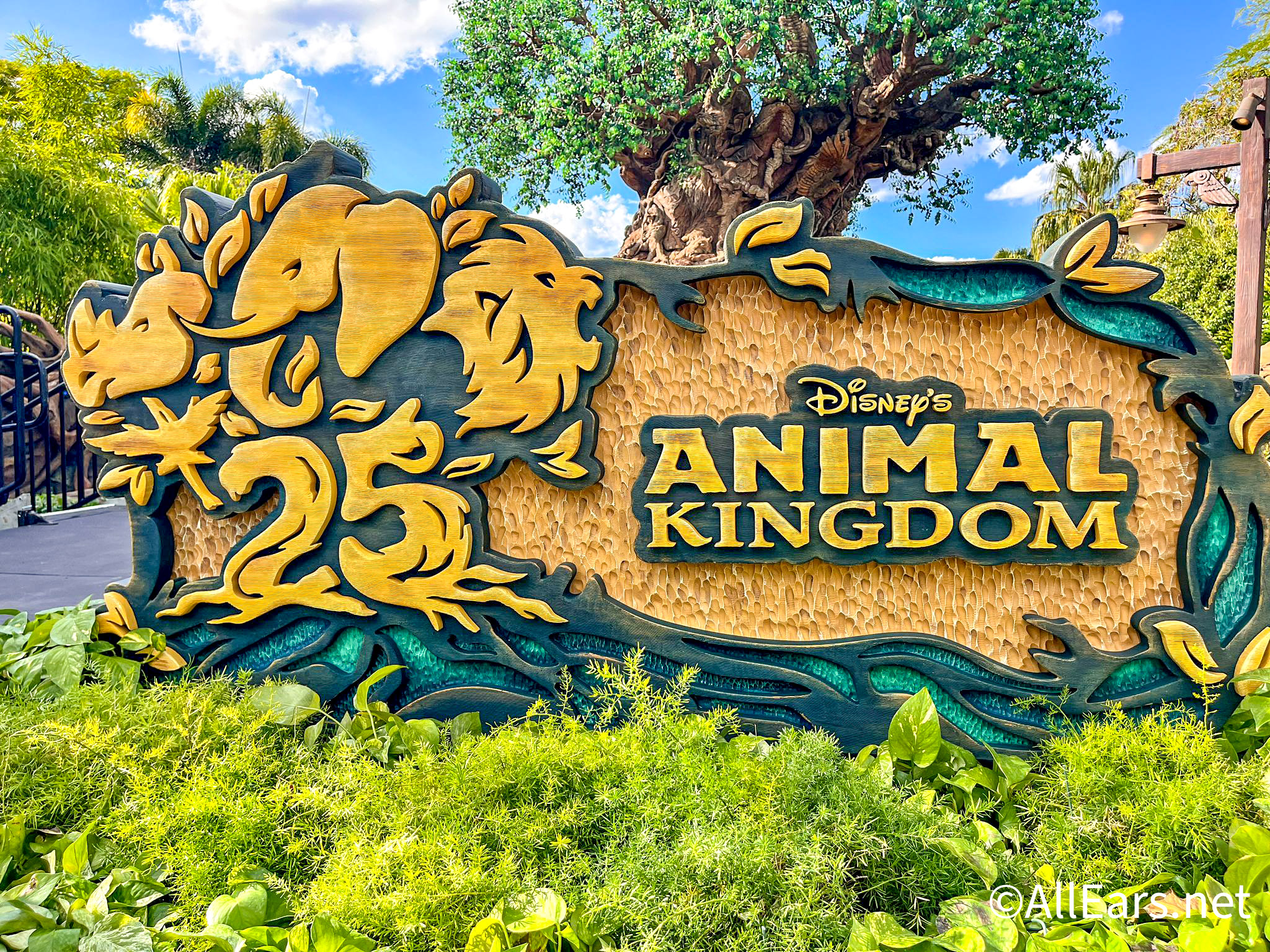 Photos See Animal Kingdom S New Park Map Disney By Ma - vrogue.co