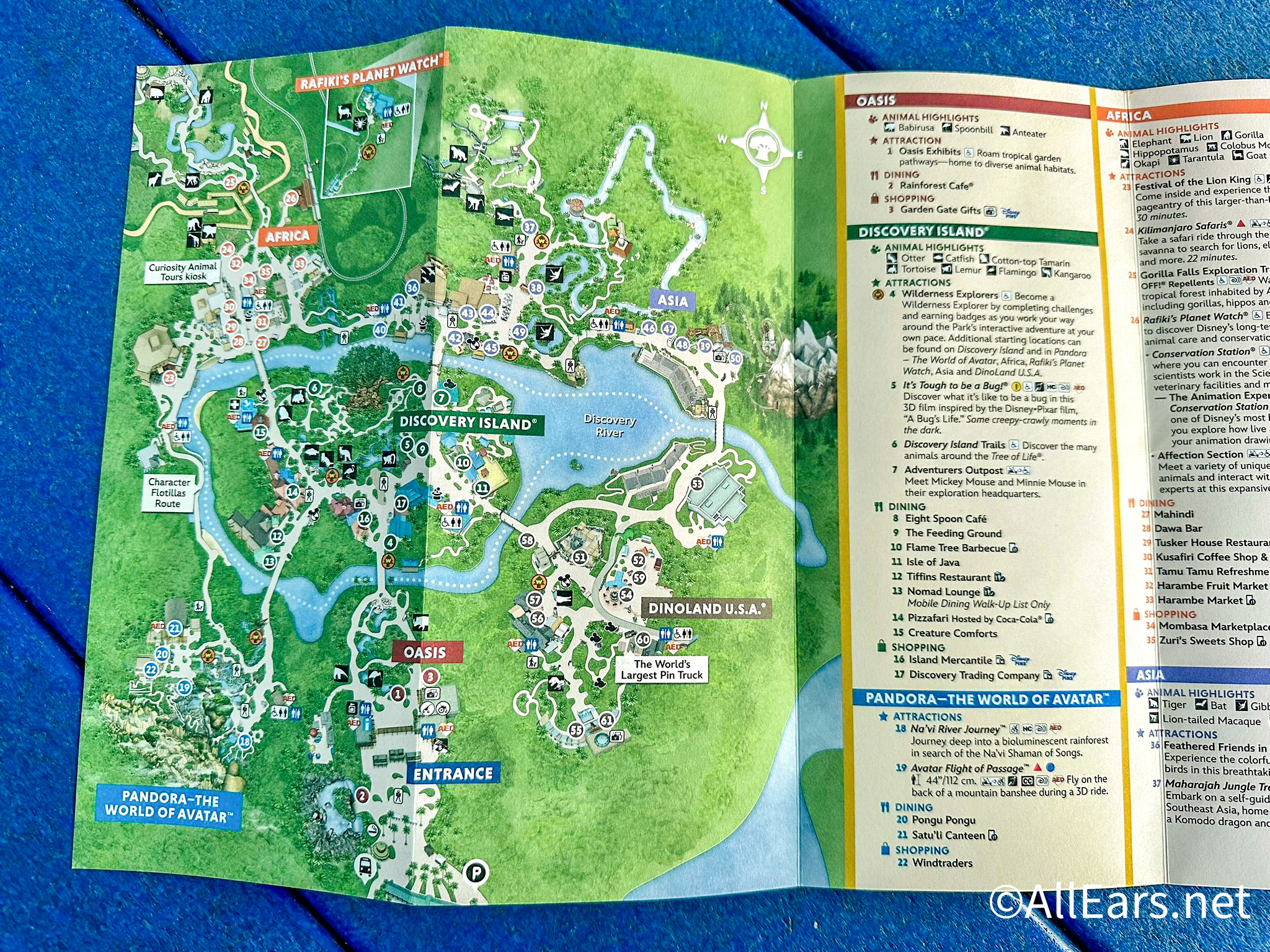 See Inside Animal Kingdom's NEW Commemorative Park Map
