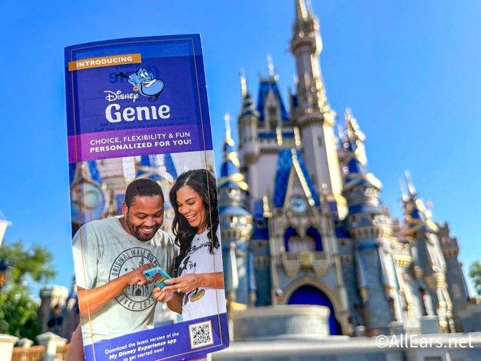AllEars TV: The PERFECT Day in Disney World Without Paying to Skip