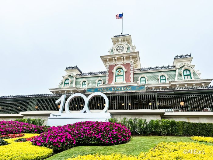 PHOTOS: We're FINALLY Seeing Progress on the Magic Kingdom Train Station!