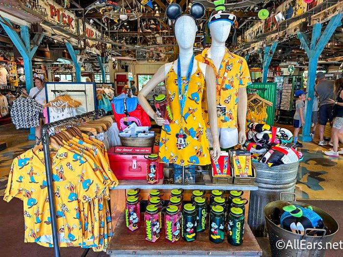 10 Most Practical and Useful Disney World Souvenirs –