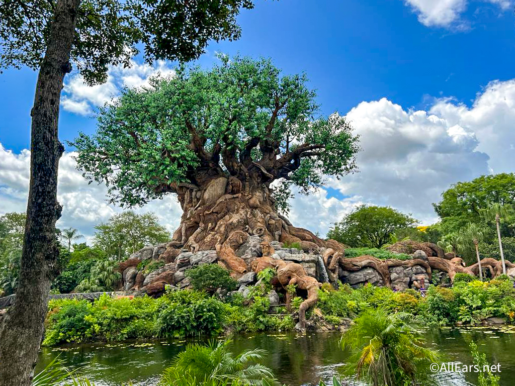 Exterior Refurbishment Underway at Dinosaur Attraction at Animal Kingdom