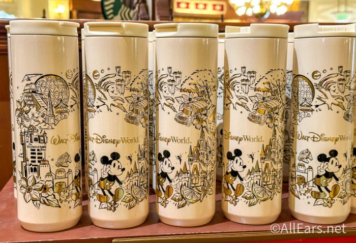 Disney Parks Stainless Steel Water Bottle