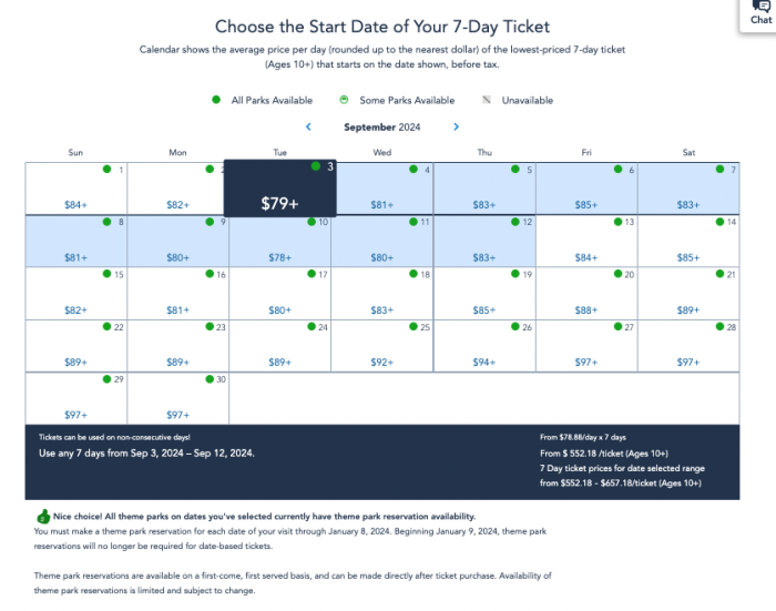 Don't Go to Disney World in 2024 Without Knowing THIS - AllEars.Net