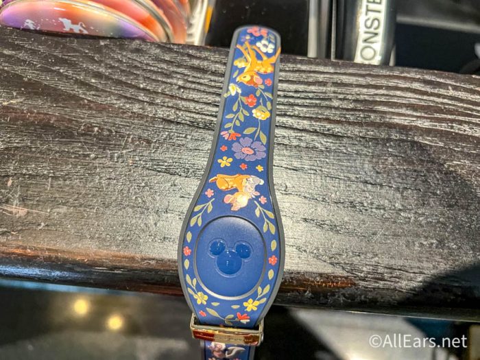 10 Disney Magic Band Secrets to Know Before You Go - Disney Trippers