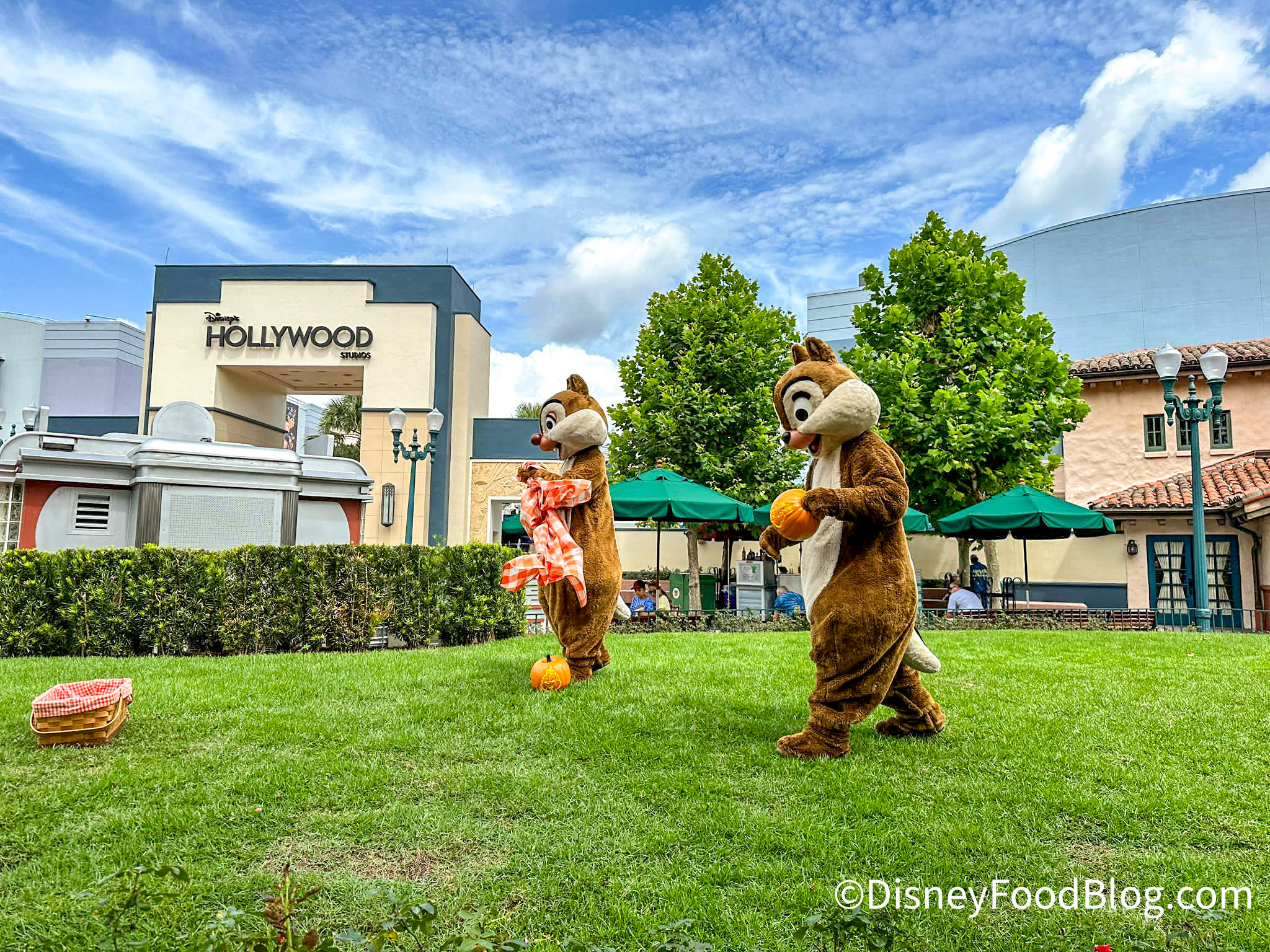 If You Didn't Do These Ten Things, Did You Even Go To Disney's