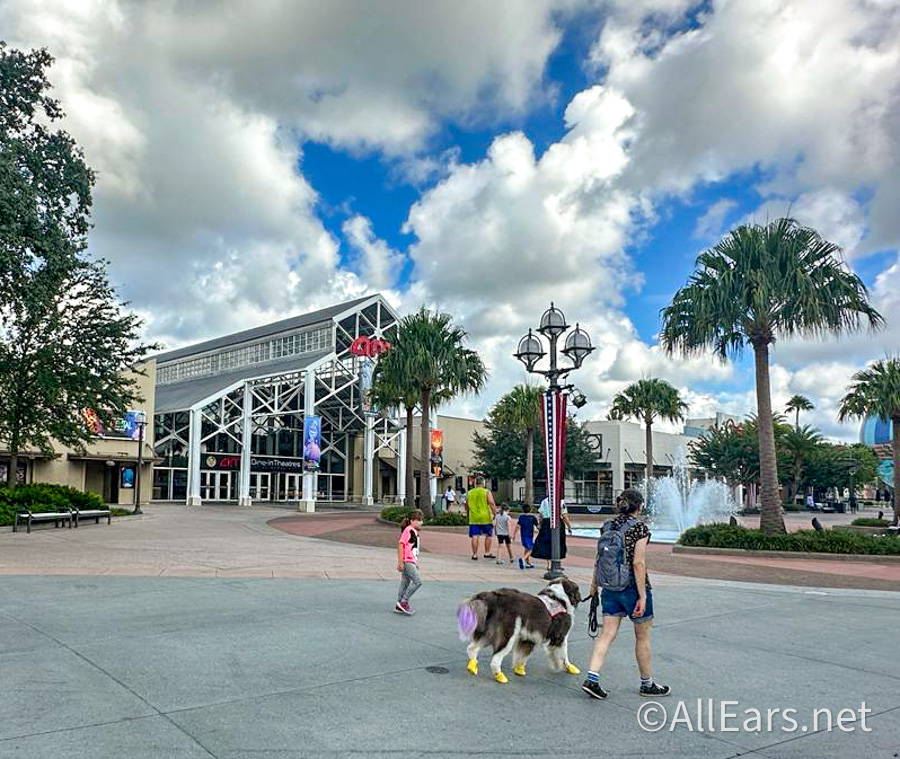Corkcicle at Disney Springs overview - Photo 10 of 11