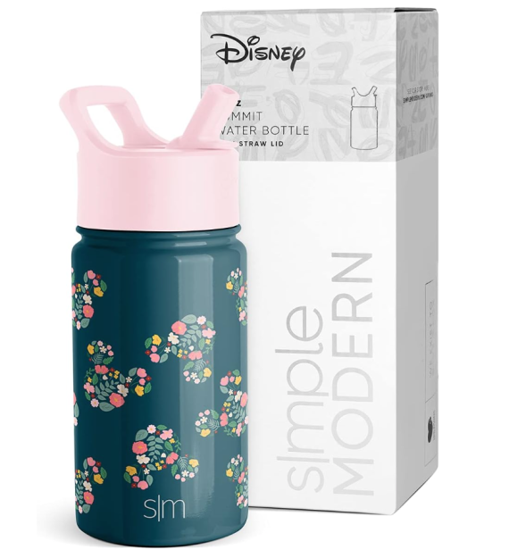 Simple Modern Disney Princesses Kids Water Bottle with Straw Lid, Reusable  Insu