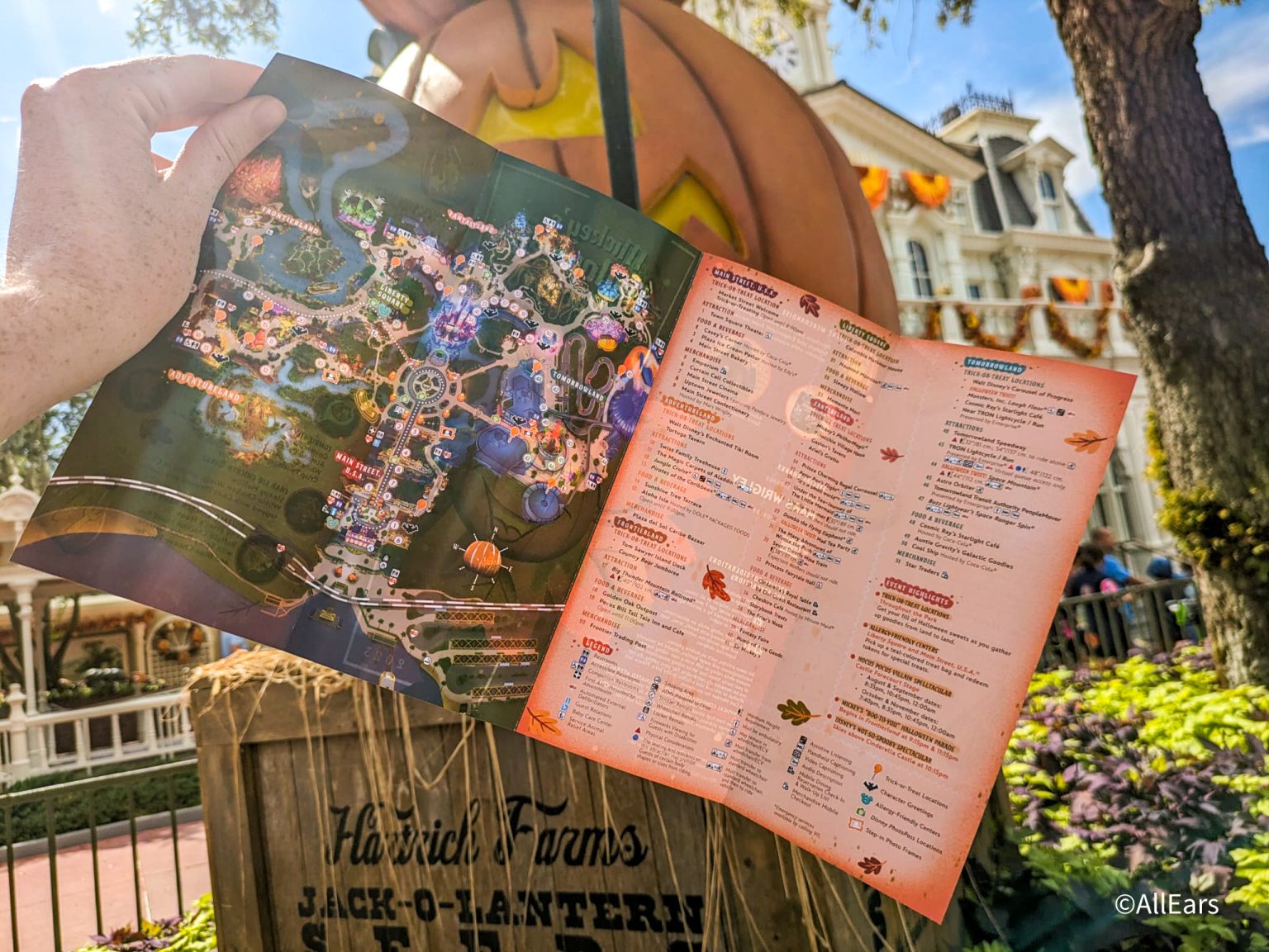 2023 wdw mnsshp map full