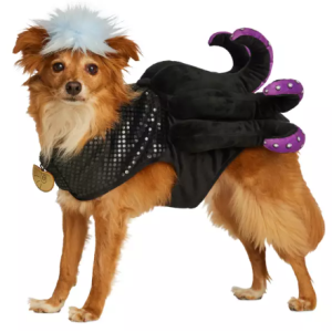 shopDisney Pet Costume